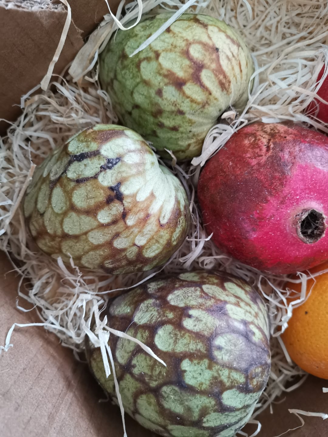 Customer photo review of Cherimoya "Campas" von Julian Aktionswoche