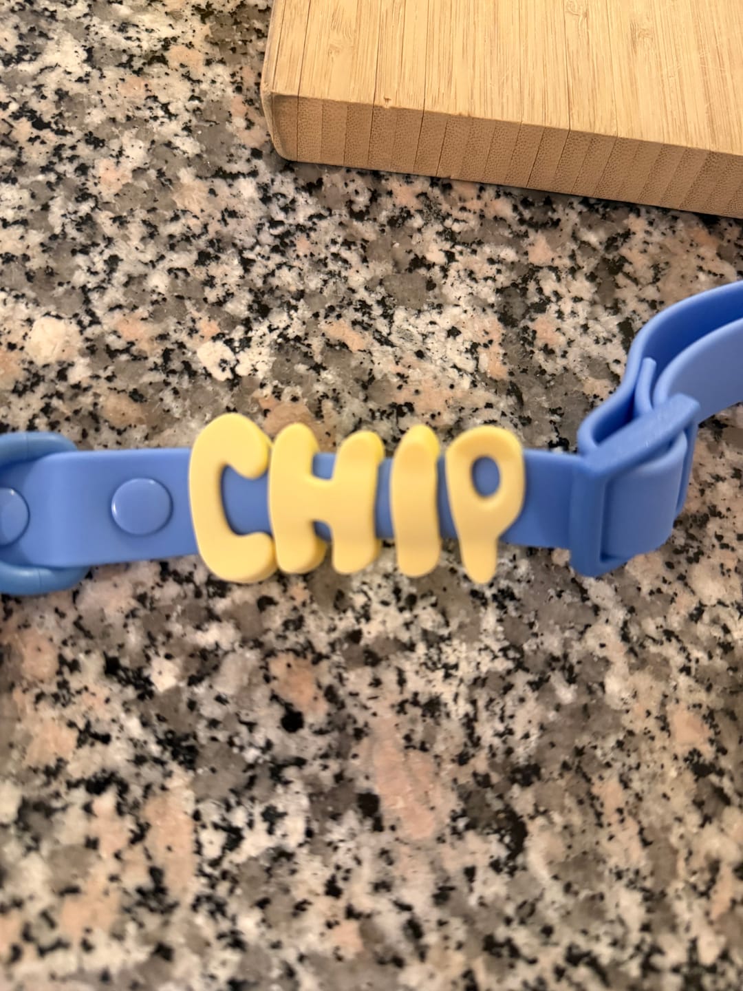 Customer photo review of Woofpur™ Personalized Collar