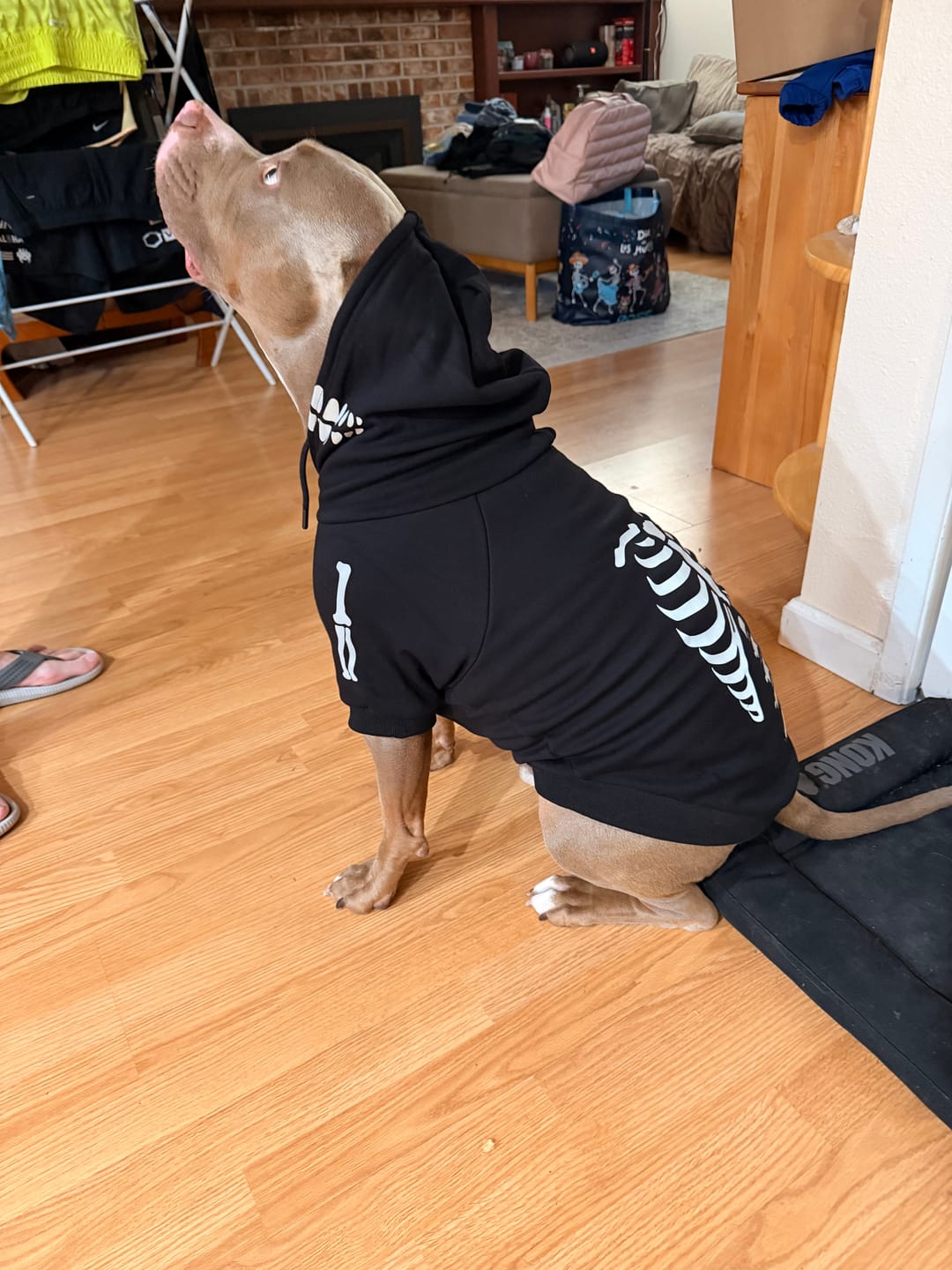 Customer photo review of Halloween Human Hoodie - Reflective Skeleton