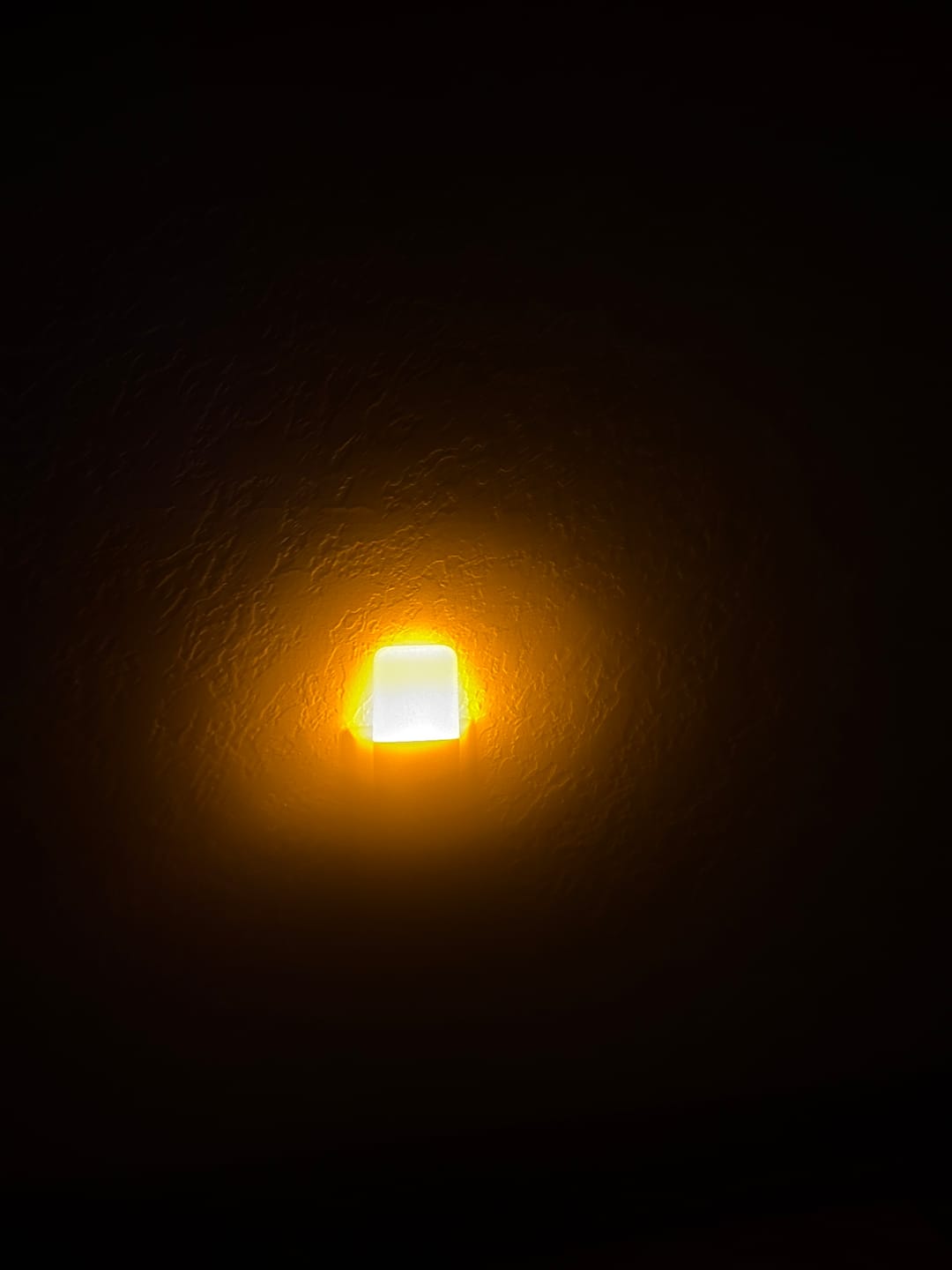 Customer photo review of Circadian Night Light