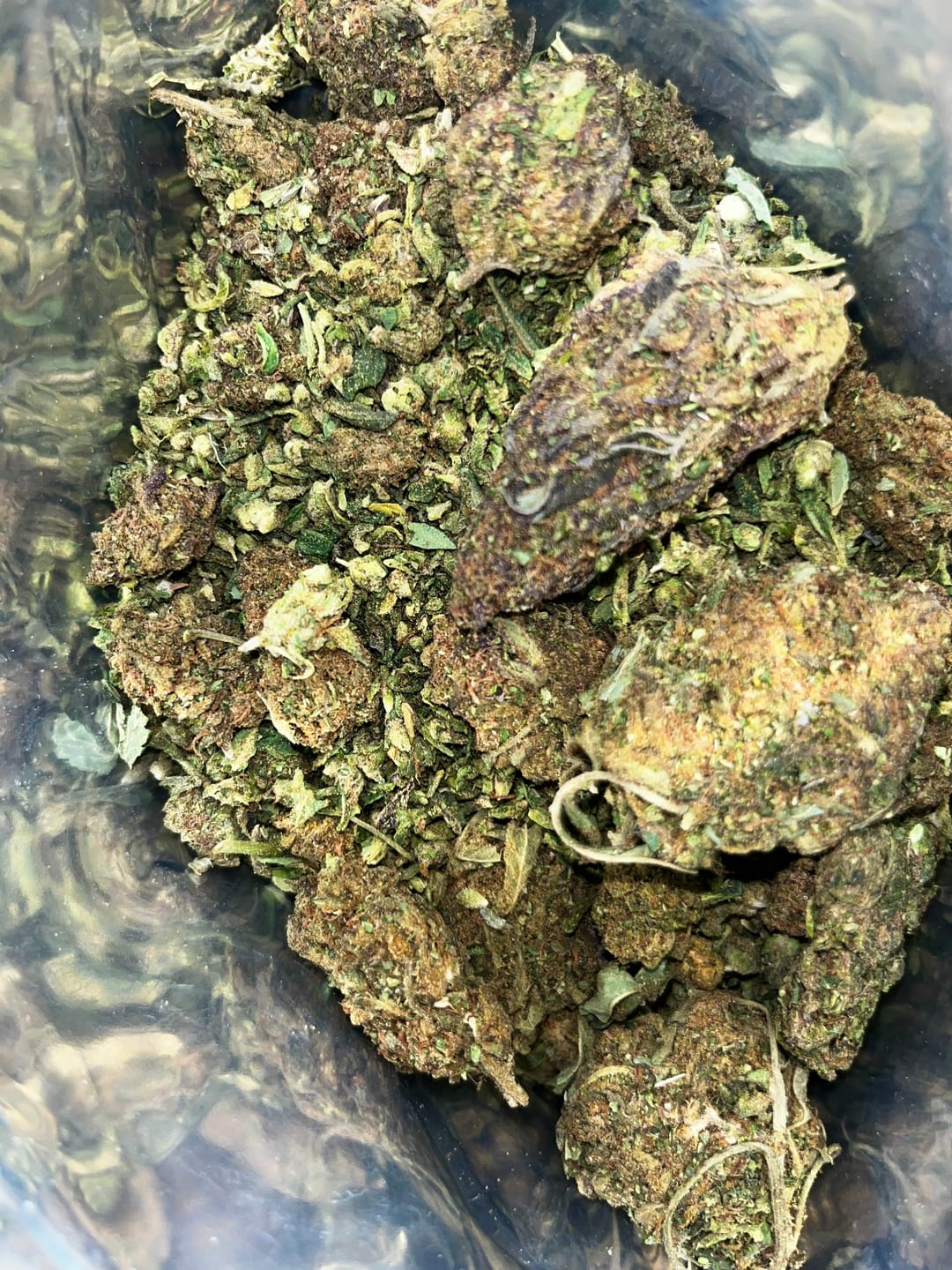 Customer photo review of Cheap THCA Flower Trim