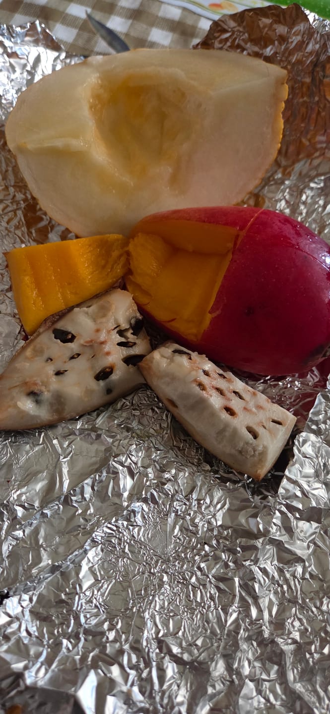 Customer photo review of Zuckermelone Bio Canari von Agrologica aus Sizilien