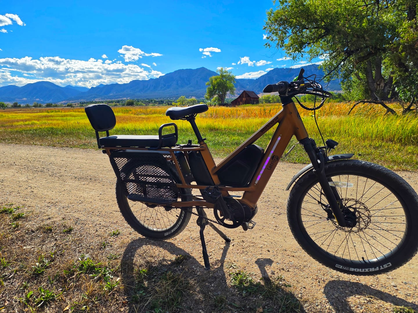 Customer photo review of Workhorse