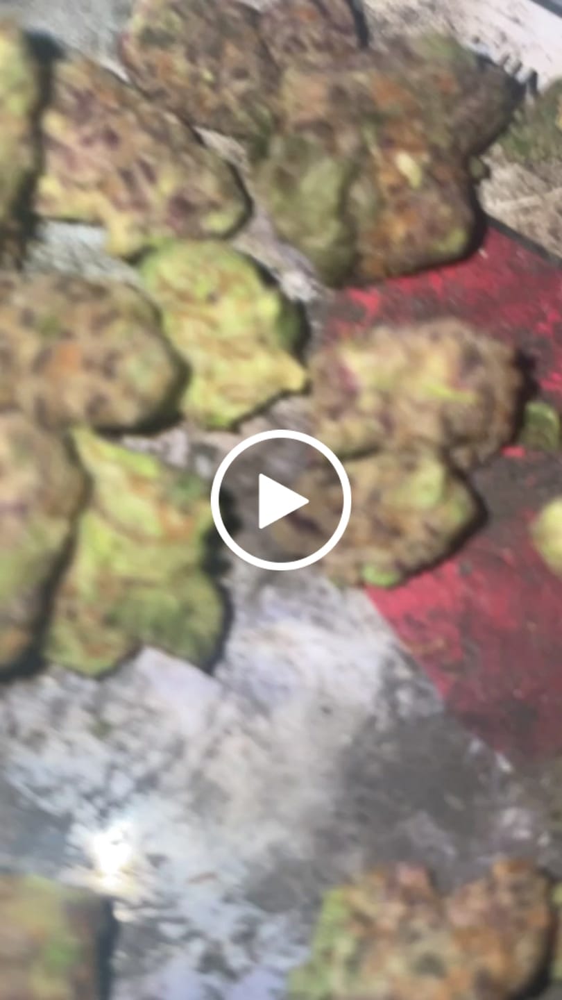 Customer video review of Exotic Purple Cream Cake