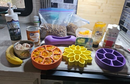 Customer photo review of Freezflower Cup -  Frozen Treat Cup for Calm, Happy Dogs