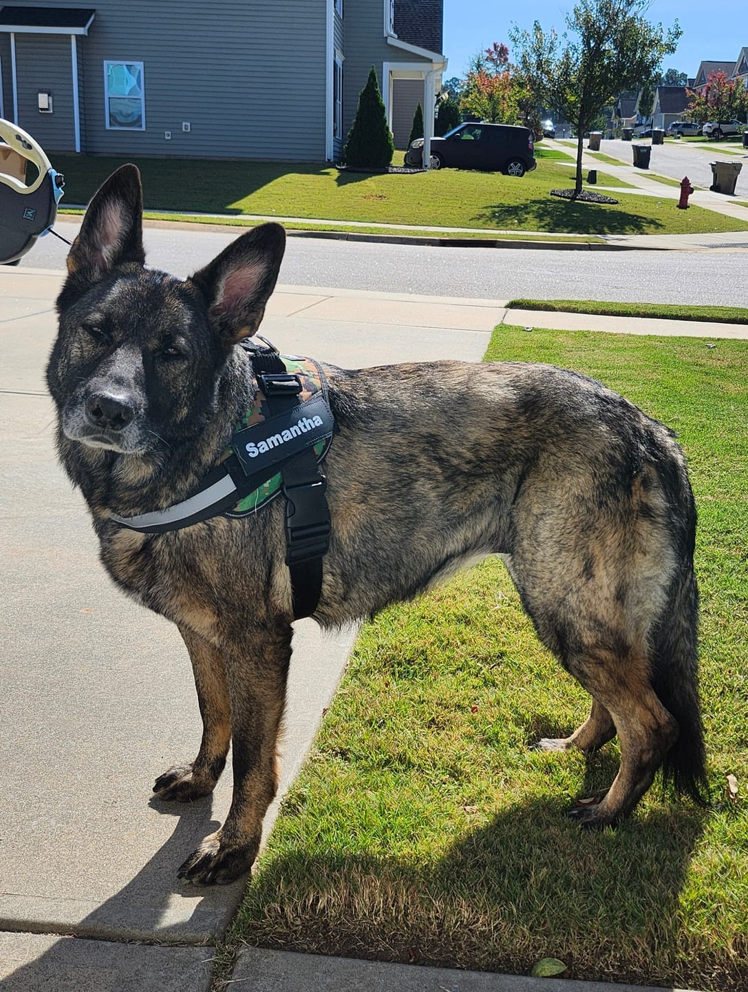Customer photo review of Personalized Dog Harness