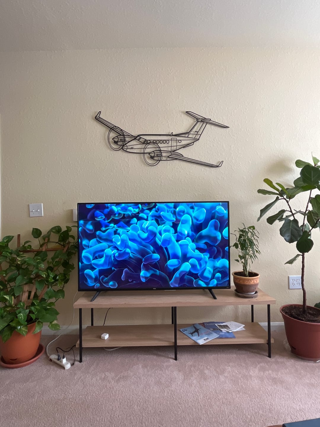 Customer photo review of King Air 300 Angle Silhouette Metal Wall Art