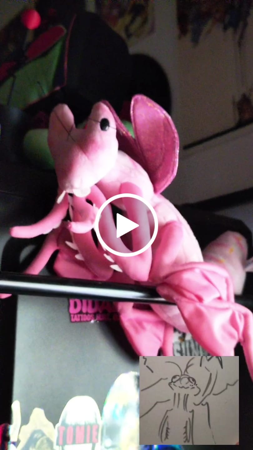 Customer video review of Pink Orchid Mantis Soft Stuffed Plush Toy