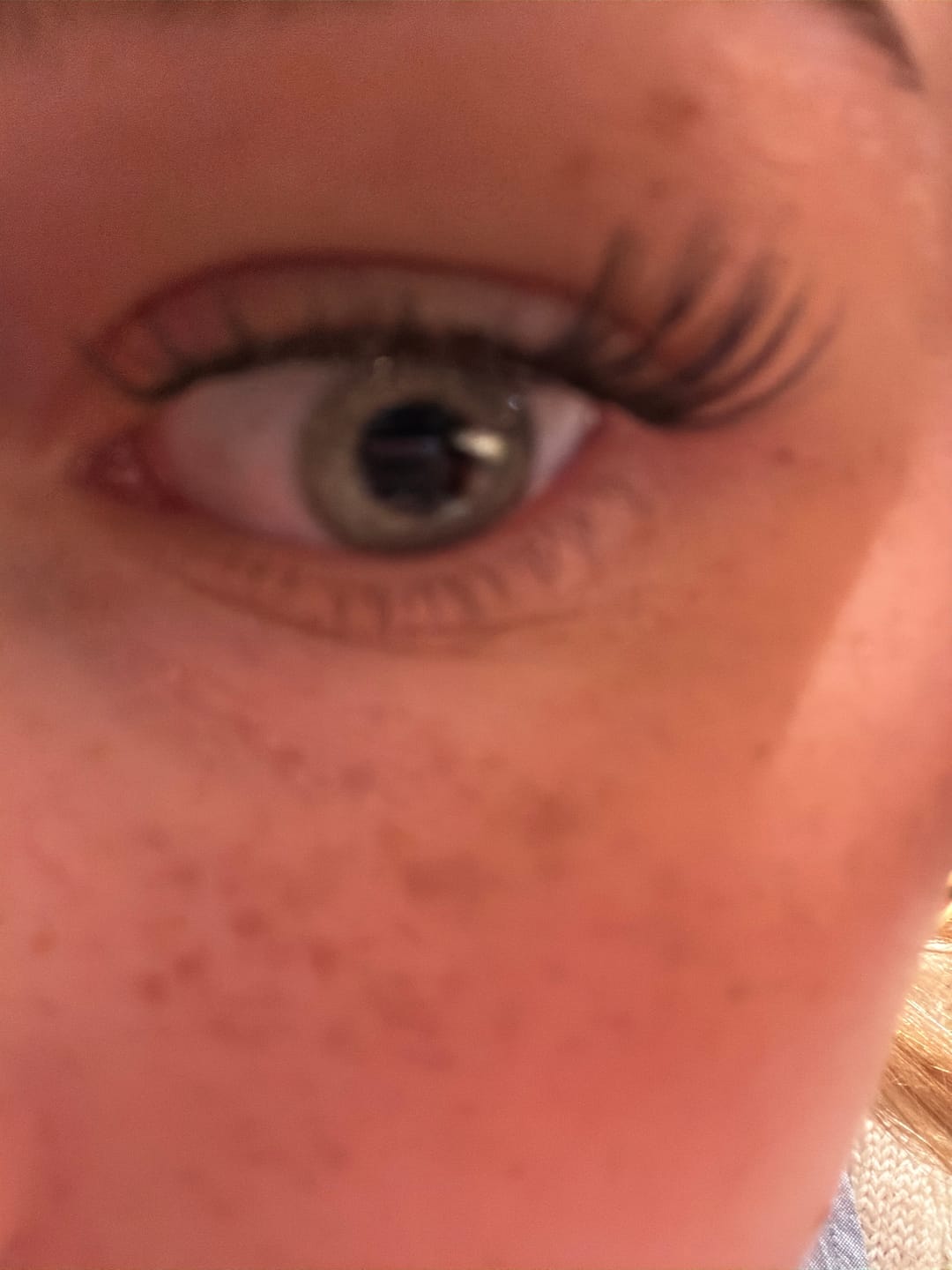 Customer photo review of LuxeBold - Brown