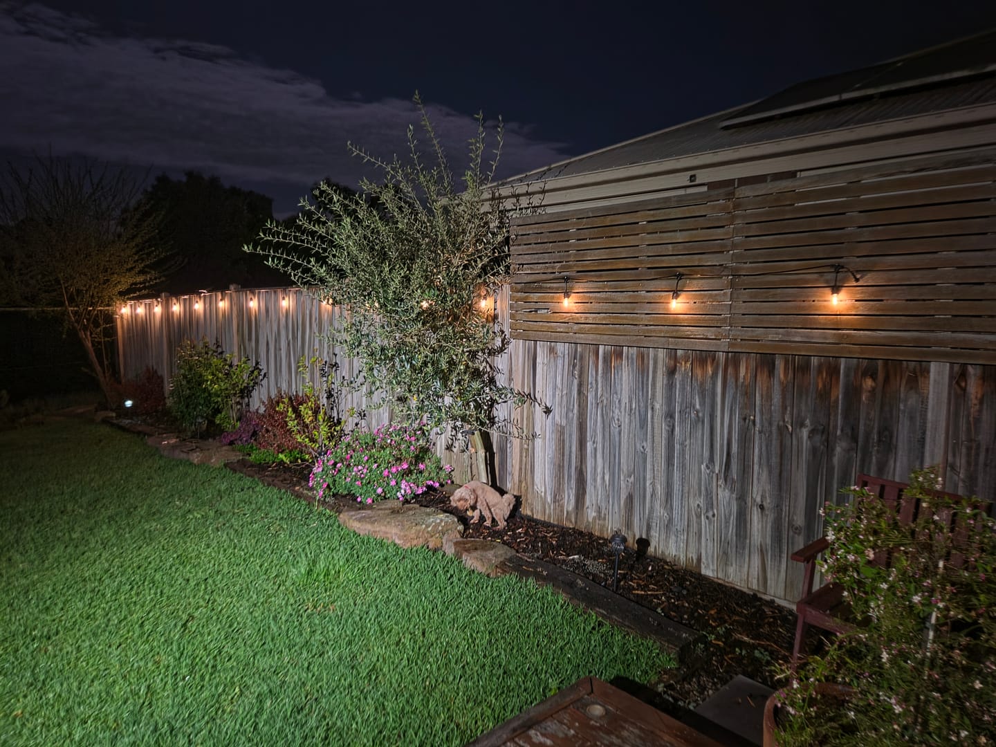 Customer photo review of Solar Festoon Lights