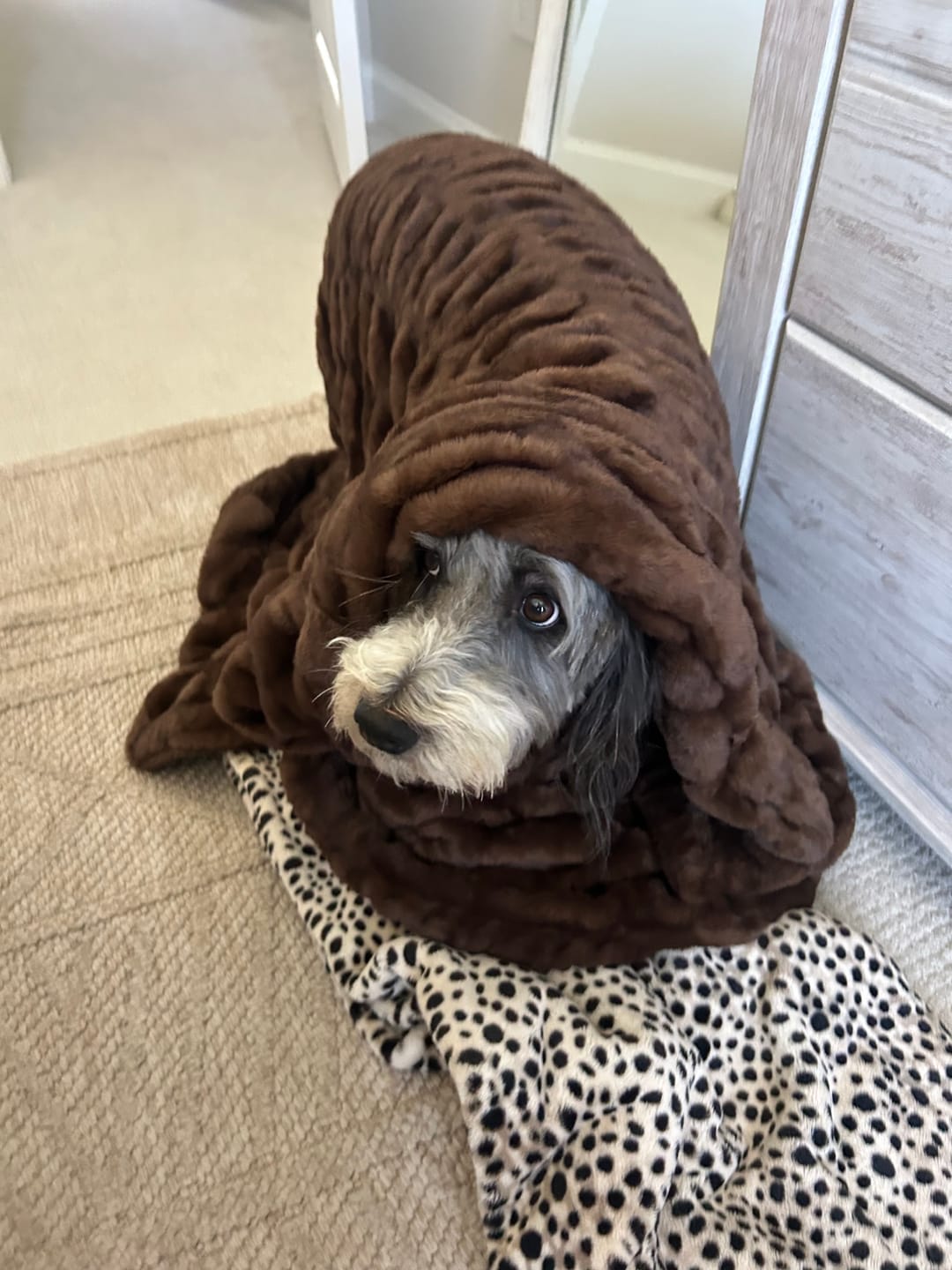 Customer photo review of Hugs Hot Fudge Blanket