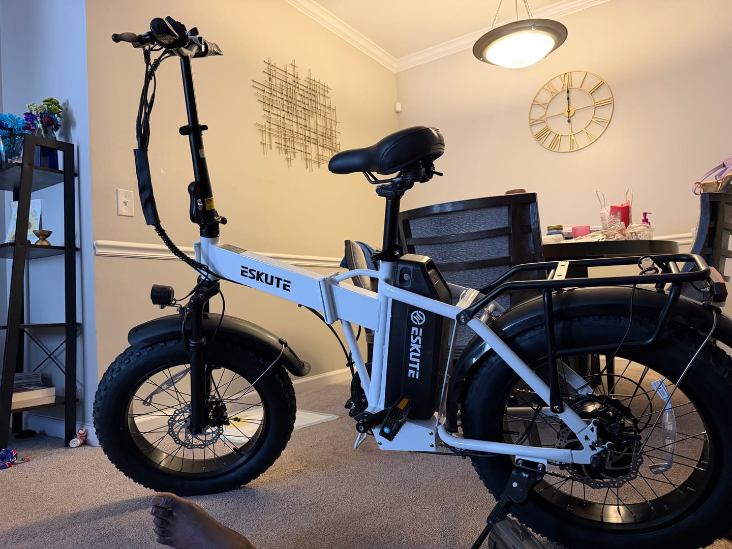 Customer photo review of Eskute® D300  Adventurer Ebike