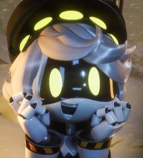 Customer photo review of N Plush