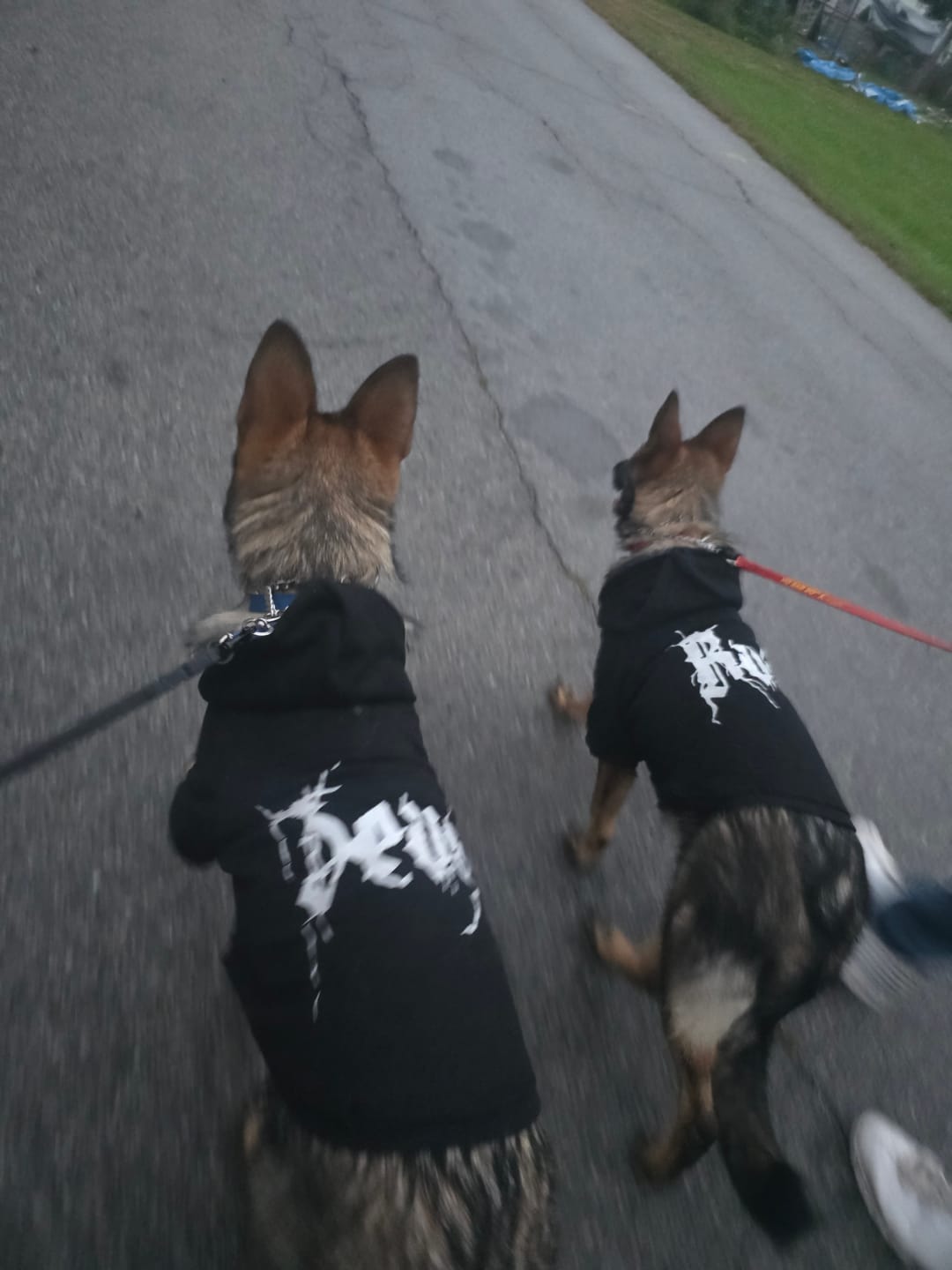Customer photo review of Personalised Dog Hoodie Black Metal Font