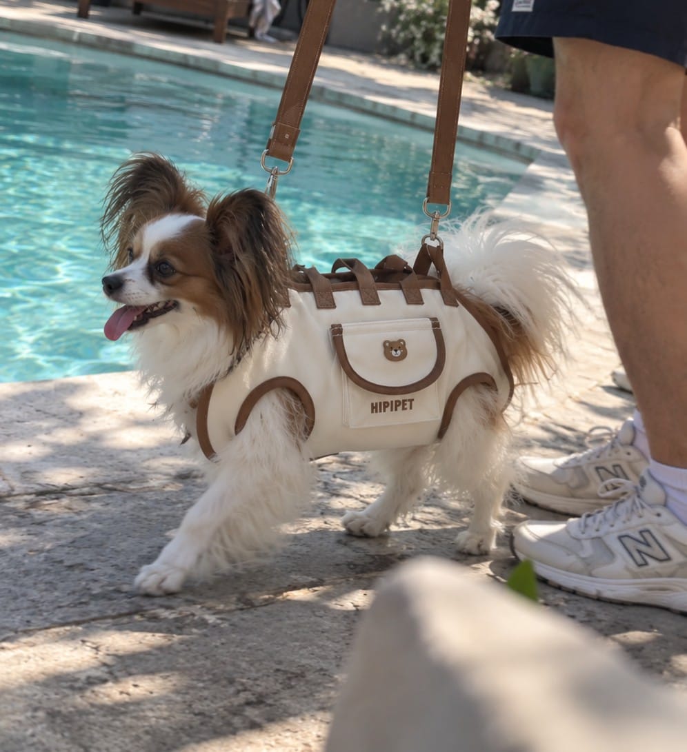 Customer photo review of Arnés de Transporte para Perros Pequeños