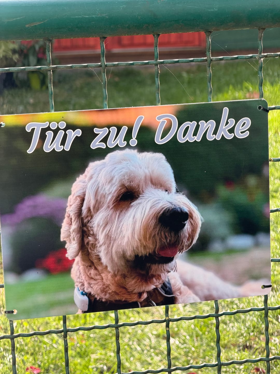 Customer photo review of Hunde-Türschild personalisiert mit Foto & Text (UV- und wetterfest)