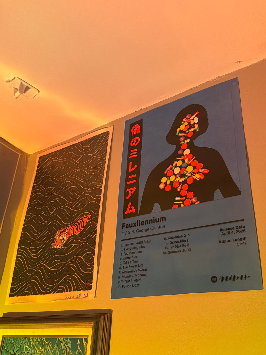 Customer photo review of TV Girl Album Posters