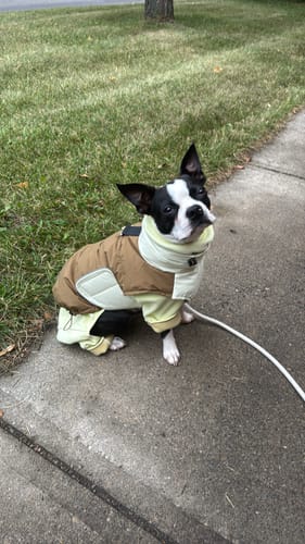 Customer photo review of Winter Explorer Apparel Bundle