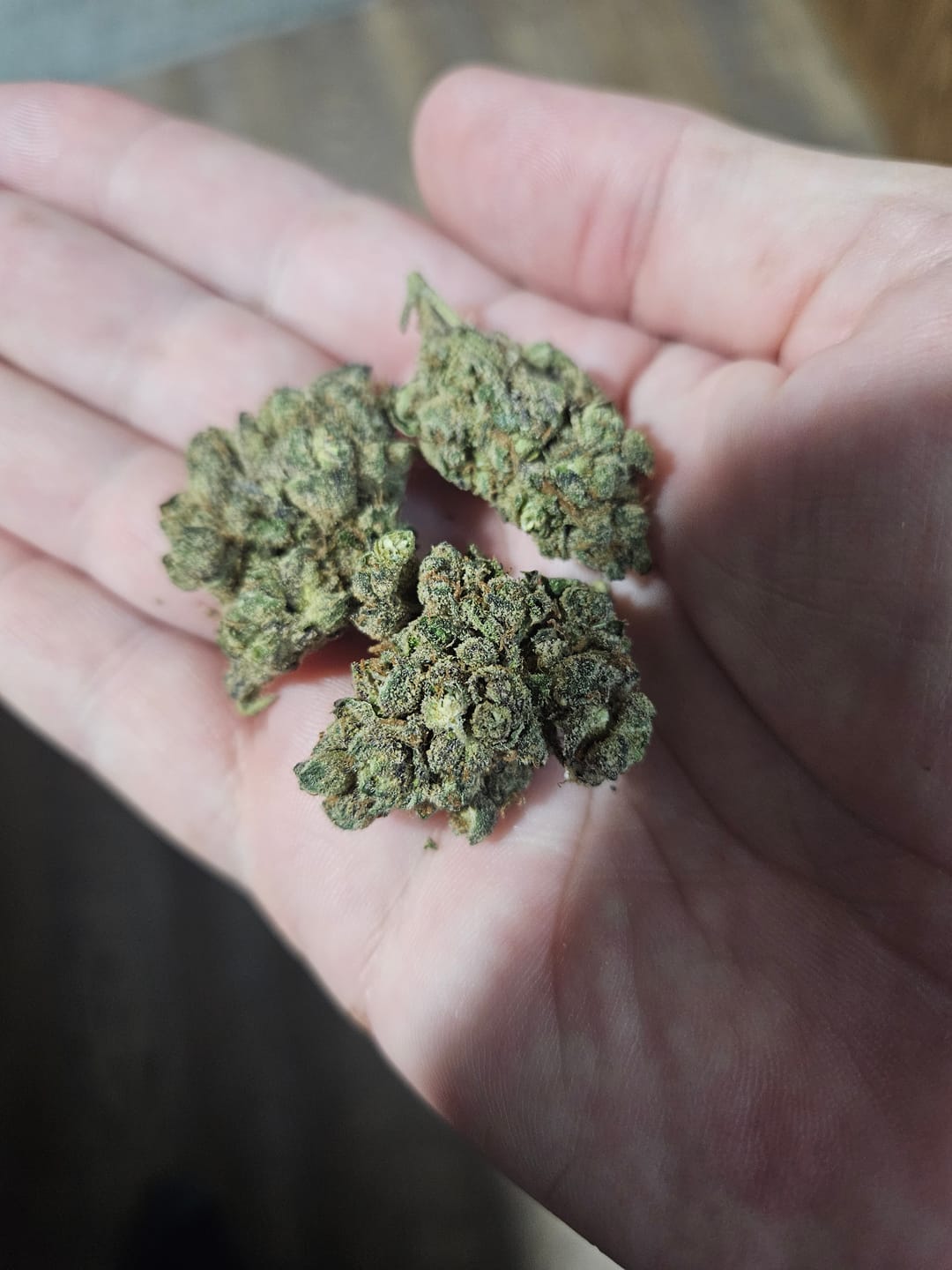Customer photo review of Runtz THCa Flower