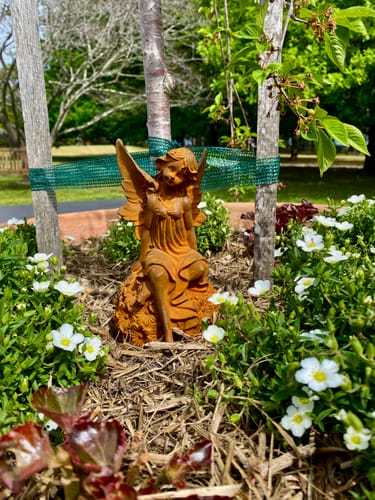 Customer's Miss Angelique fairy statue sitting among white flowers and garden mulch outdoors.