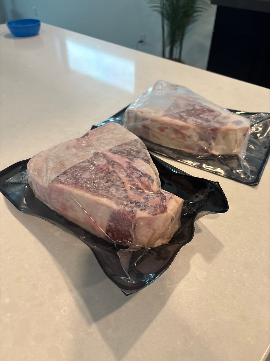 Customer photo review of USDA Choice Porterhouse Steak