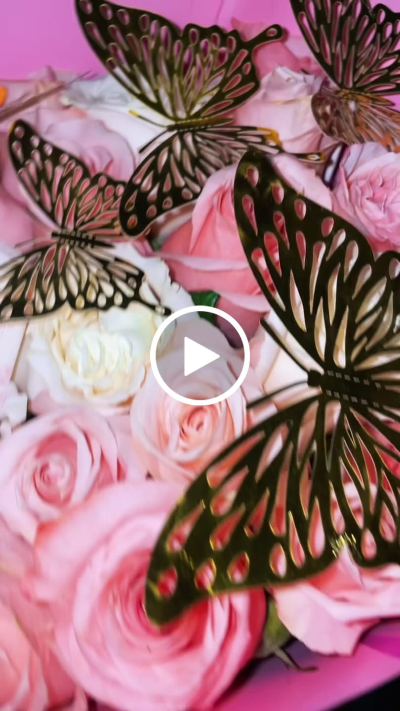 Customer video review of Butterflies