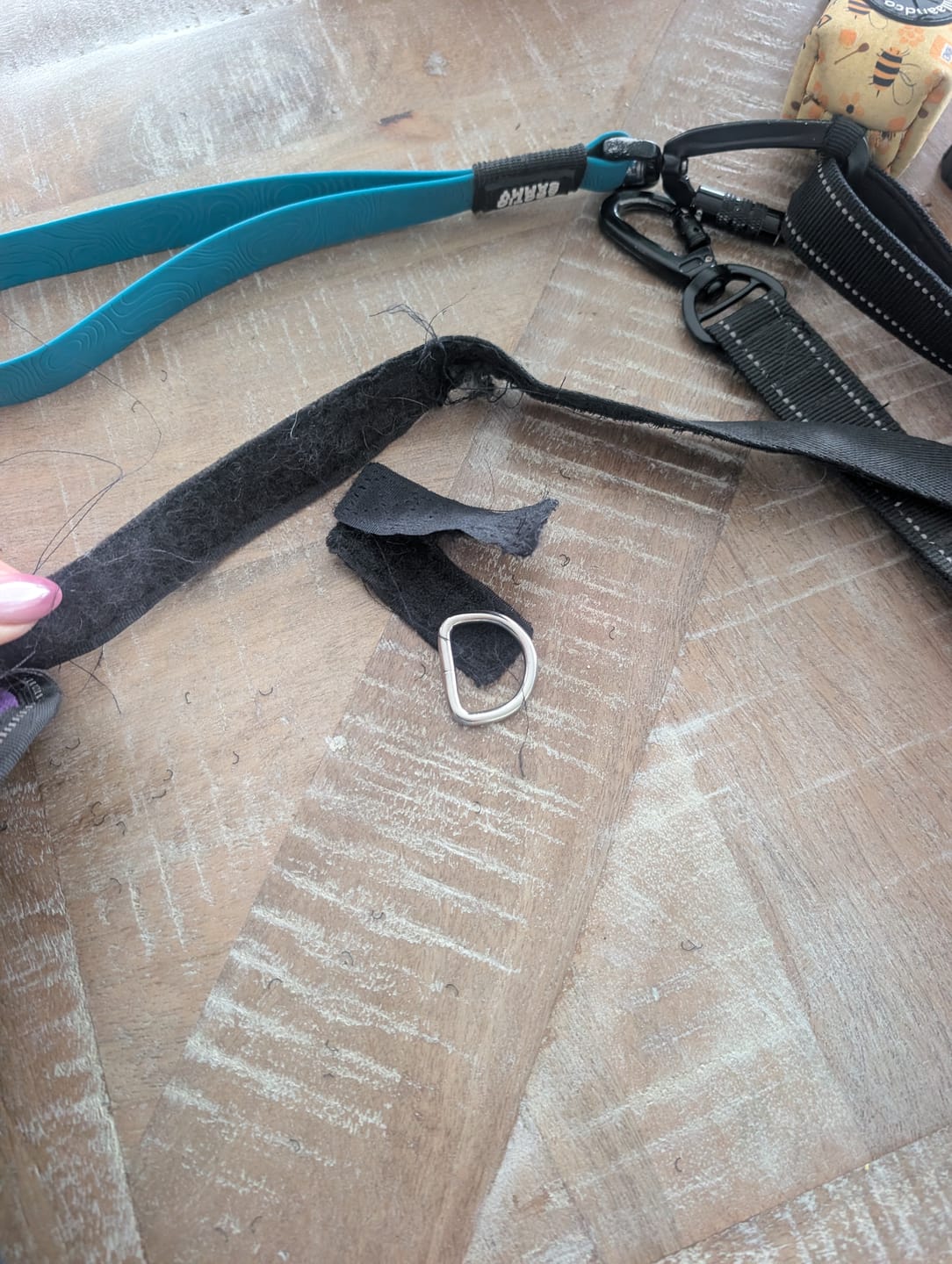Customer photo review of Front D-Ring Attachment