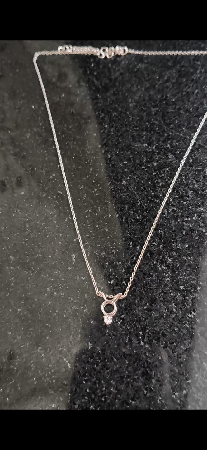 Customer photo review of Silver Taurus Zodiac Pendant