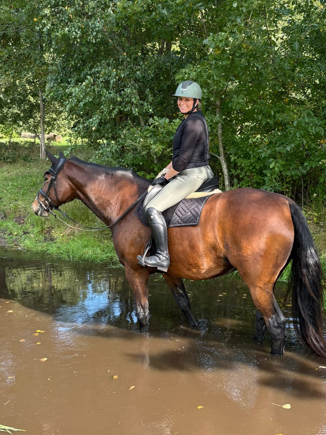 Customer photo review of Kristallkraft Brave Horse