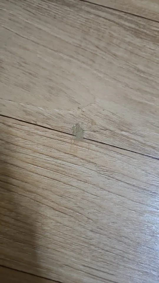Customer photo review of Mastic à bois Aquelie pour fissures et trous