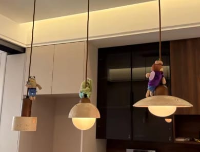 Customer photo review of Nero | Pendant Light