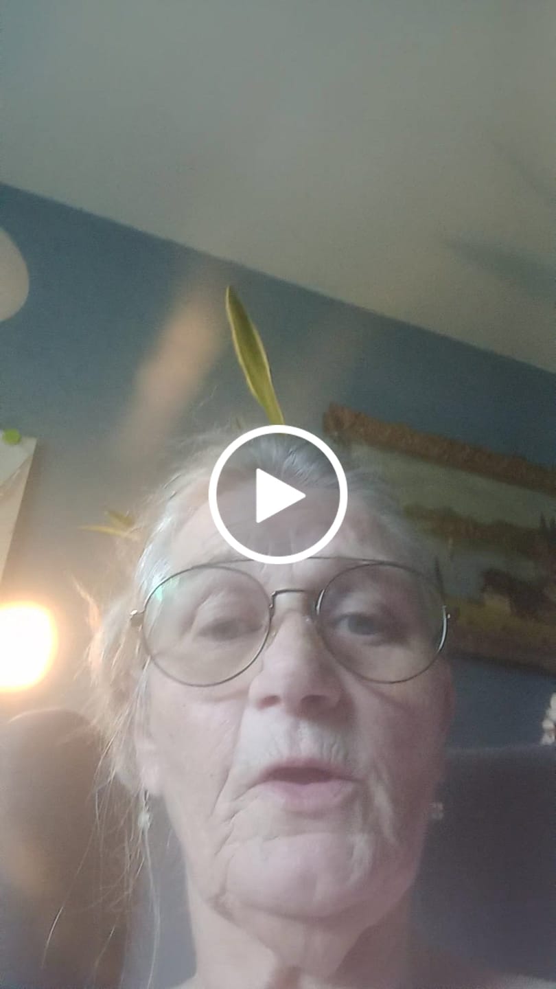 Customer video review of Reisgenootje Sleutelhanger Koala