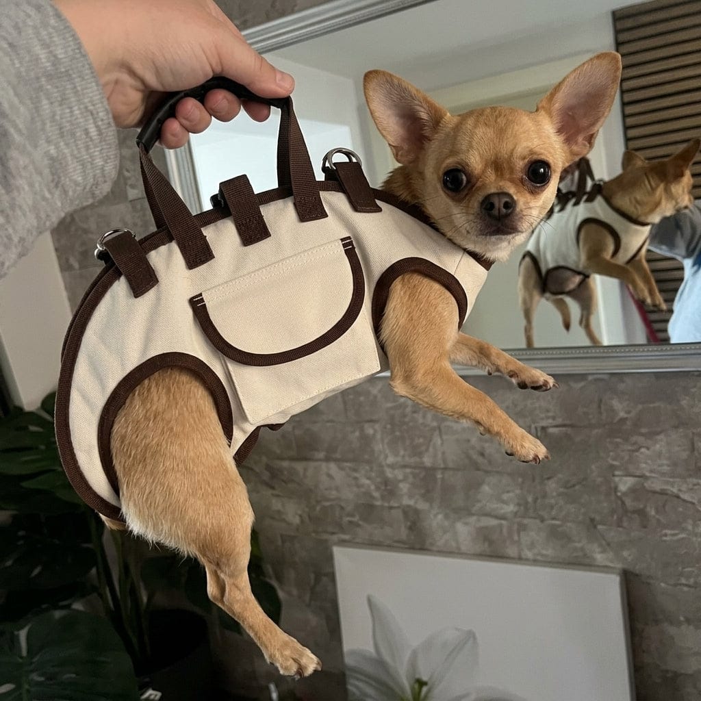 Customer photo review of PawLift™ — Juntos En Cada Paso🐾