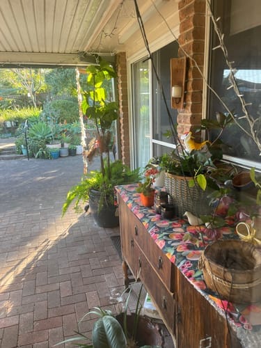 Customer photo review of KoalaCloth MINI (20x20cm) – For Small Jobs & Tight Spots