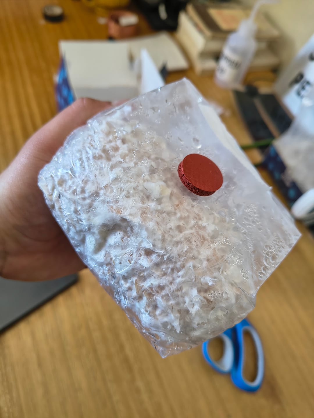 Customer photo review of Ayekan Box