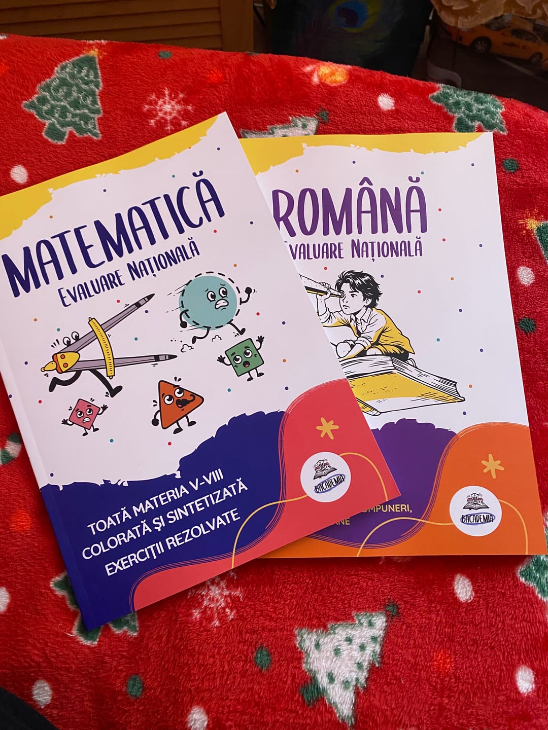 Customer photo review of Pachet Evaluare Națională (Română + Matematică) Bacademia