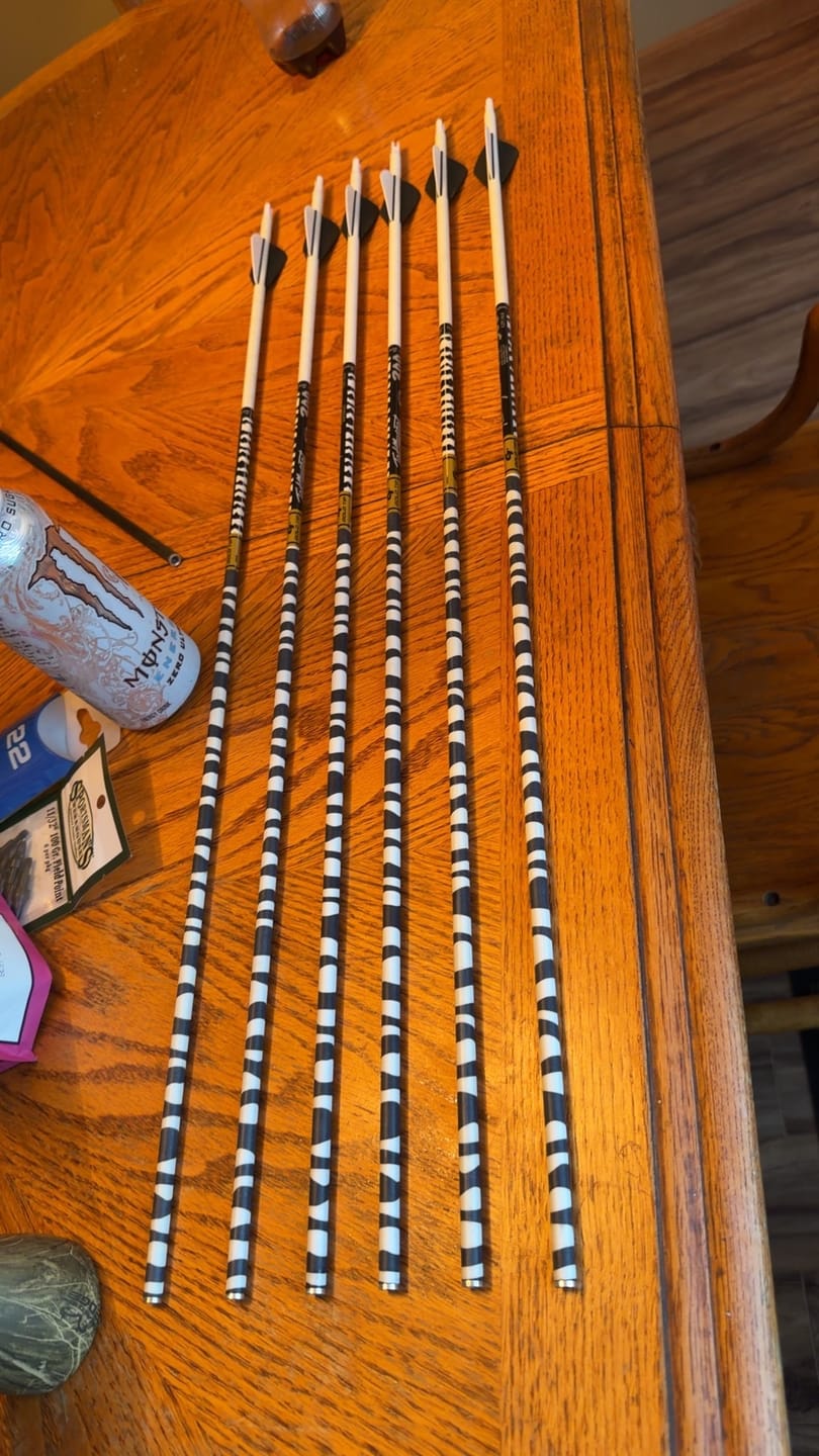 Customer photo review of Gold Tip Ted Nugent Signature Series White Zebra Arrows, 6pk