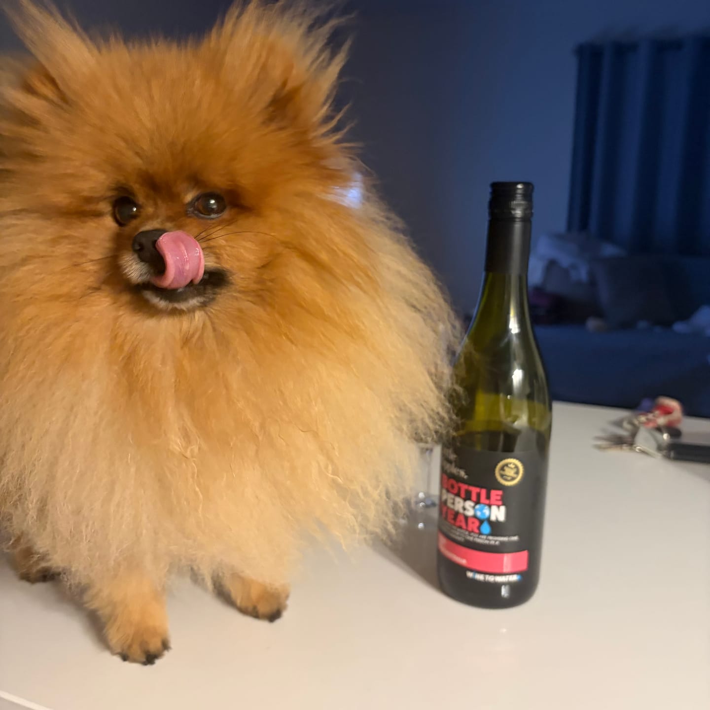 Customer photo review of Zero Sugar Shiraz – Australian Red Wine | 6 Pack