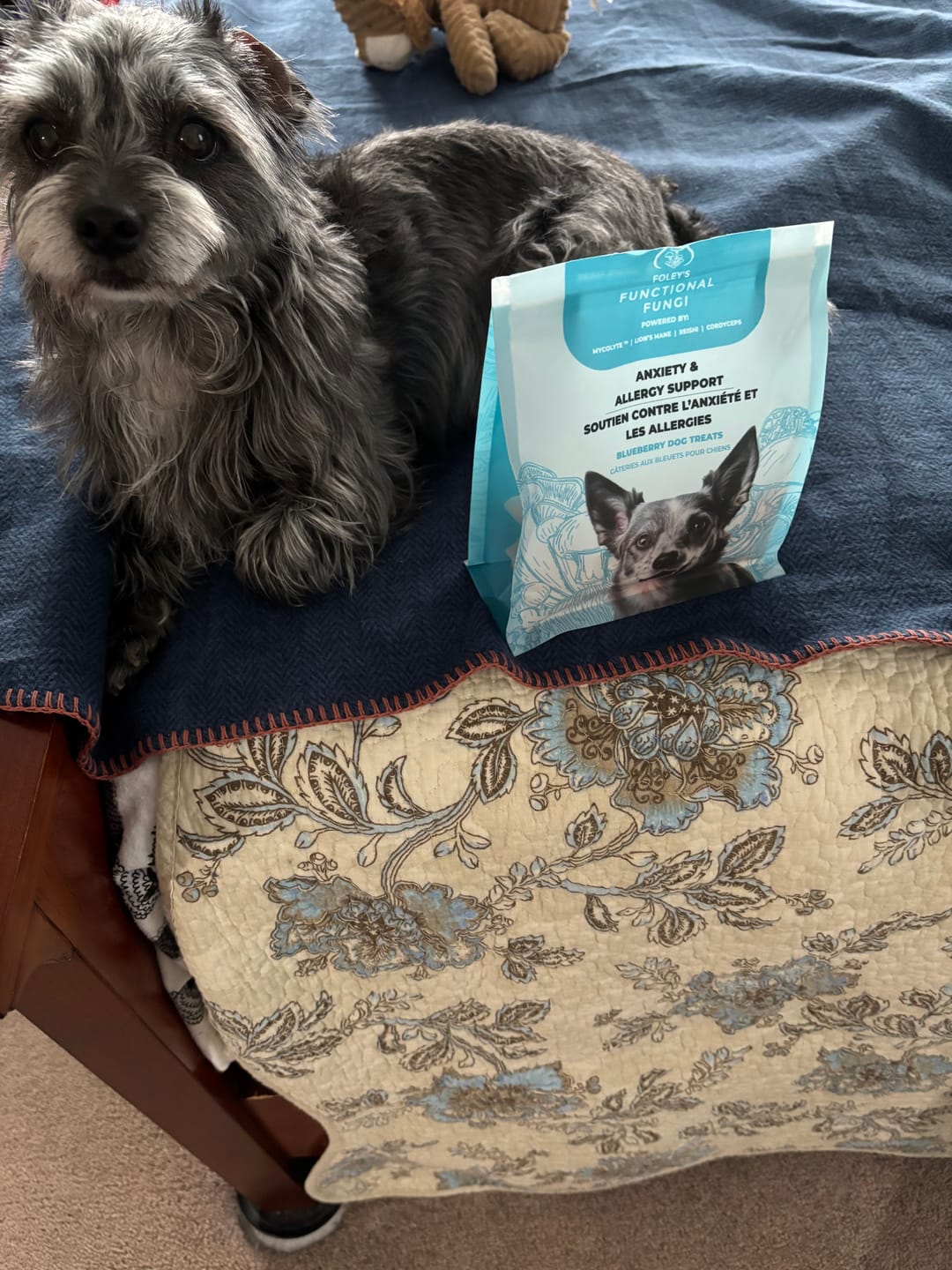 Customer photo review of Anxiety & Allergy Support - Blueberry