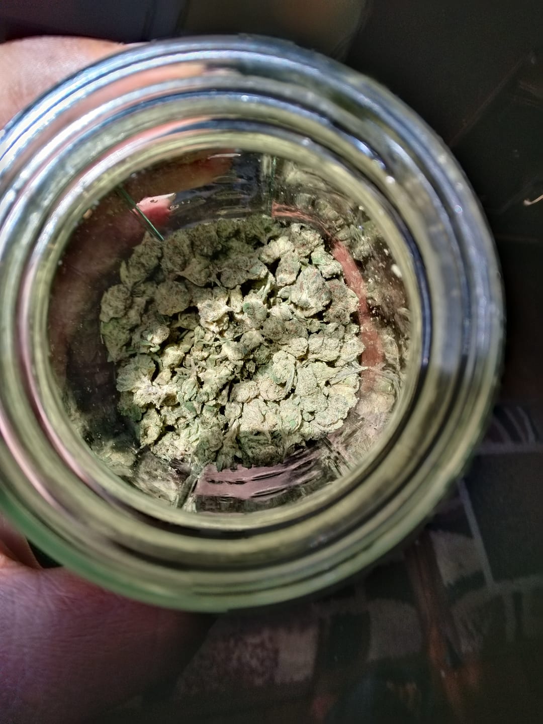 Customer photo review of Cheap THCA Flower Trim