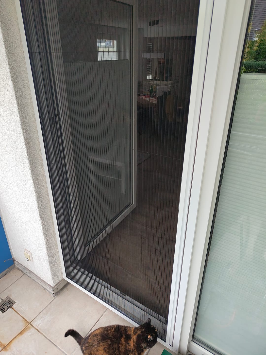 Customer photo review of Fliegengitter zum Schieben