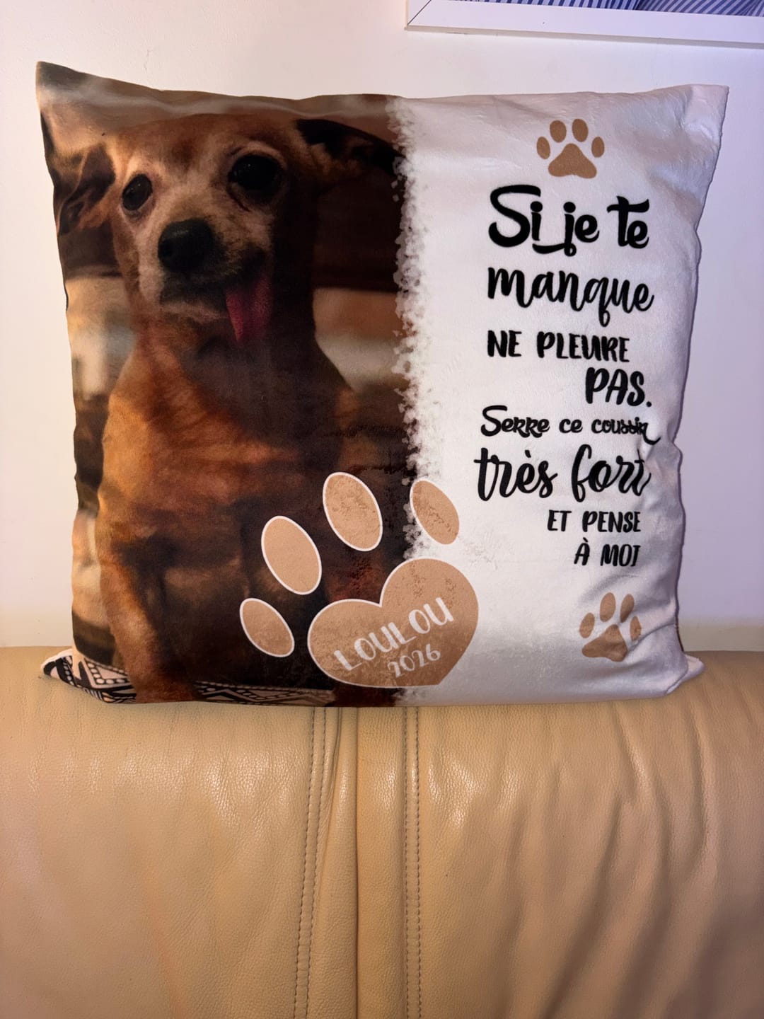 Customer photo review of Si je te manque - Coussin personnalisé