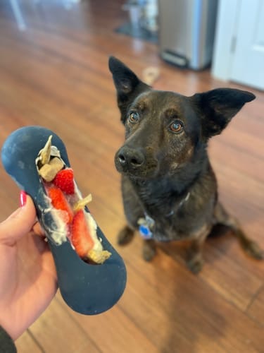 Customer photo review of Freezstick - Indestructible Enrichment Chew