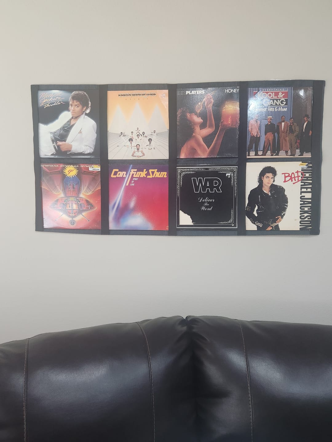 Customer photo review of 12" Vinyl Record Display Frame - LP Wall Storage