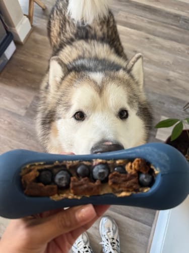 Customer photo review of Freezstick - Indestructible Enrichment Chew