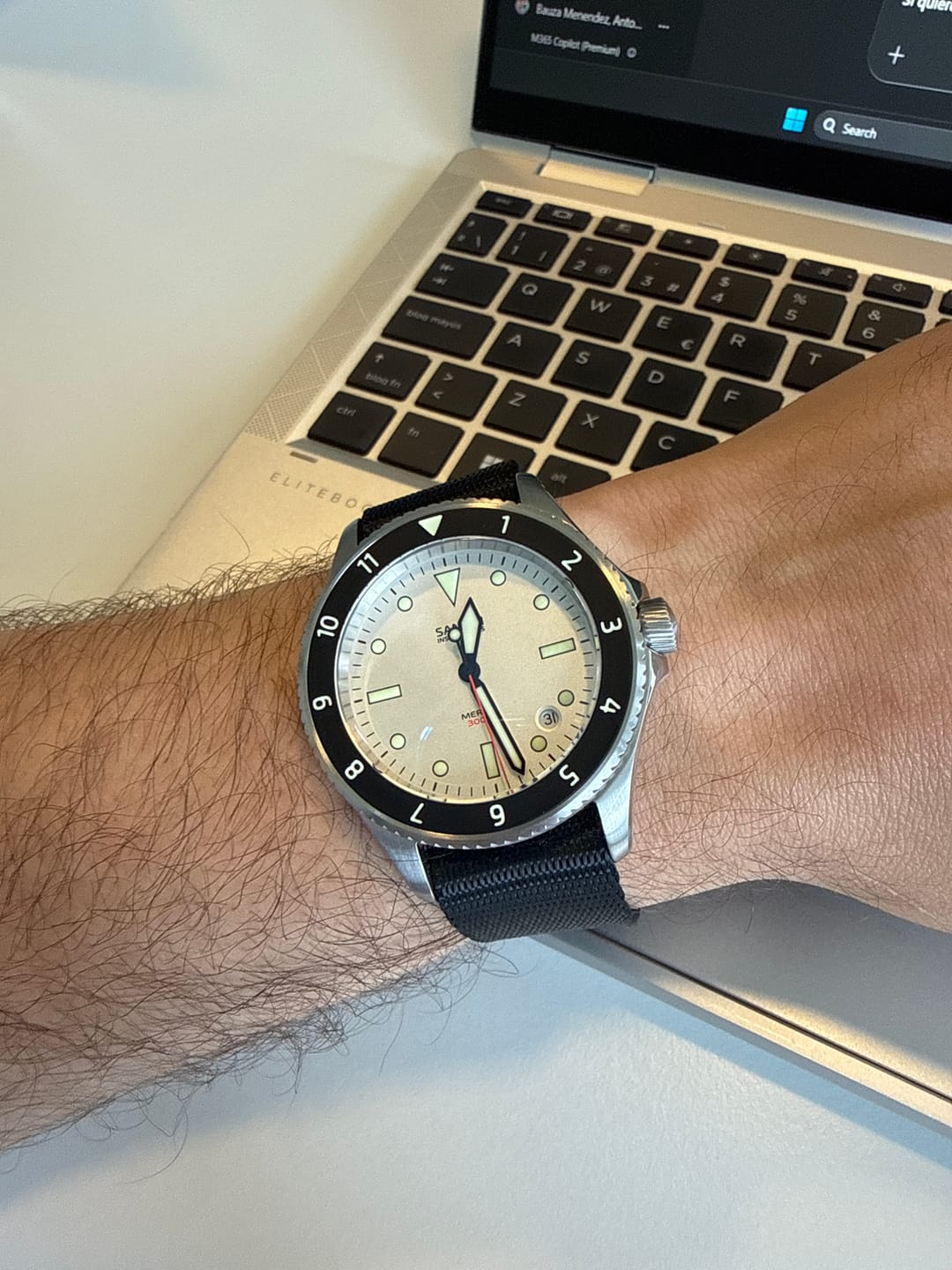 Customer photo review of Merlin (Private Release)