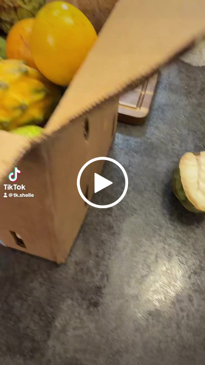 Customer video review of Variety Box