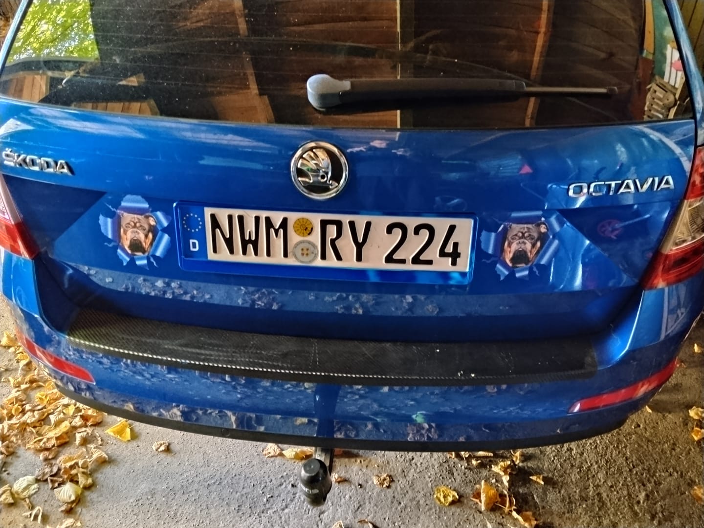 Customer photo review of Personalisierter Autoaufkleber - Spähendes Foto