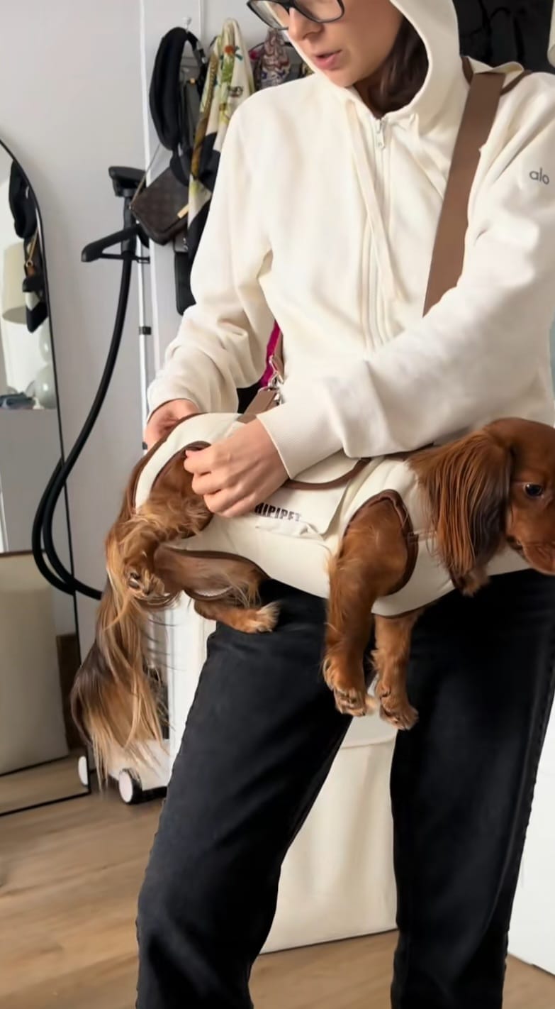 Customer photo review of Arnés de Transporte para Perros Pequeños