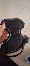 Customer photo review of No Pull Dog Harness – Reflective Padded Vest with Front Clip and Top Handle